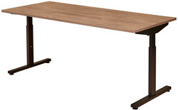 Bureau start zit/zit (arbo)