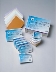 SYSTEEMKAART A4 LIJN WIT 190G [PAK 100]
