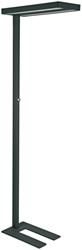 Vloerlamp MAUL Juvis LED beweging- daglichtsensor dimbaar hg 195cm zwart (8258690)