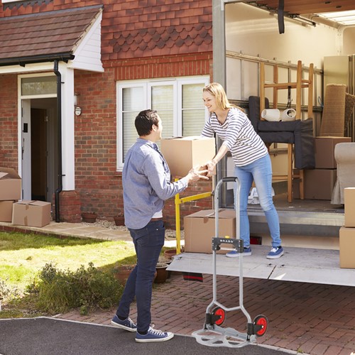 Steekwagen BRASQ Inklapbaar HT60 incl. bagagespin 60Kg-9