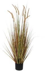 Kunst Pluimgras Dogtail 120cm groen