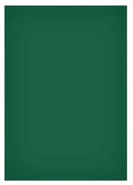 Magneetvel MAUL 200x300mm groen