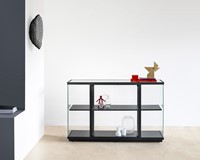 Van Esch Stolp vitrinekast - laag-2