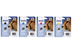 Epson supplies