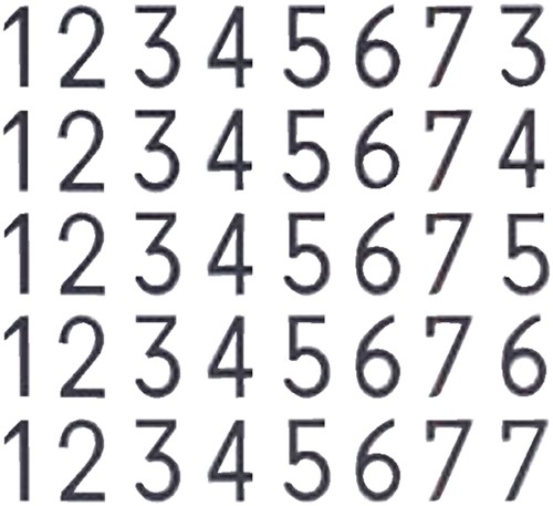 Numeroteur Reiner B2 13043 6 cijfers 5.5mm metaal-1