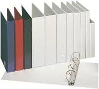 Presentatieringband Esselte panorama A4 4-rings D-mechaniek 20mm PP wit-2