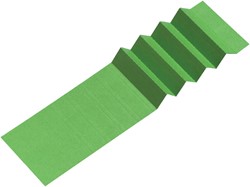 Ruiterstrook voor Alzicht hangmappen 65mm groen