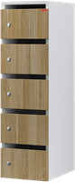Van Esch Aquarius HP postvakkenkast - Pfleiderer hout decor - 5 Vakken (HP-1305)