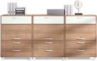 Palmberg Compona kast