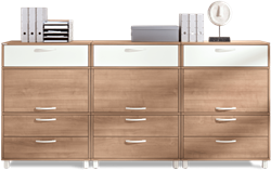 Palmberg Compona kast