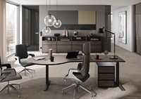 Palmberg Compona kast-2