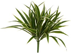 Coolplant Chlorophytum Kunstboeket 30 cm