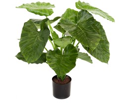 Coolplant Kunst Alocasia Calidora 80 cm