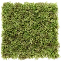 Coolplant Kunst Mos brandvertragend (1 m2)