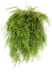 Coolplant Kunst Hangvaren 95 cm