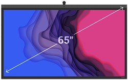 Newline Vega 65" inch - Touchscreen digibord