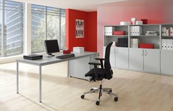 Palmberg Intro Tec tafel/bureau