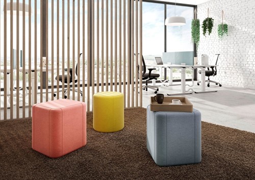 Palmberg Melounge
