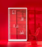 Van Esch Pictor VA vitrinekast - aluminium - VA050-2