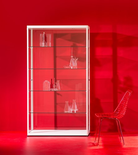 Van Esch Pictor VA vitrinekast - aluminium - VA050-2